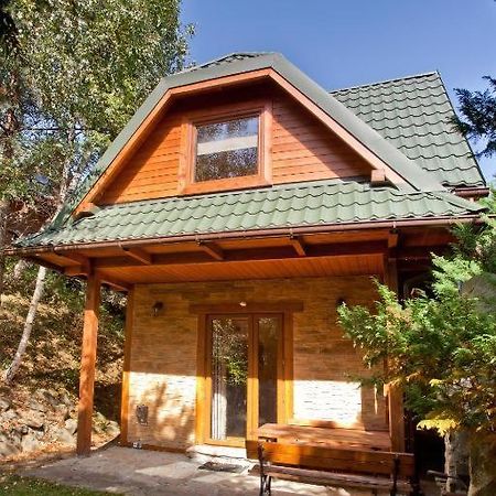 Domek W Krynicy Z Sauna 克雷尼察 外观 照片